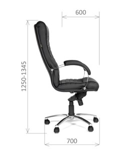 Кресло офисное CHAIRMAN 480 Экокожа премиум черная в Липецке - предосмотр 2